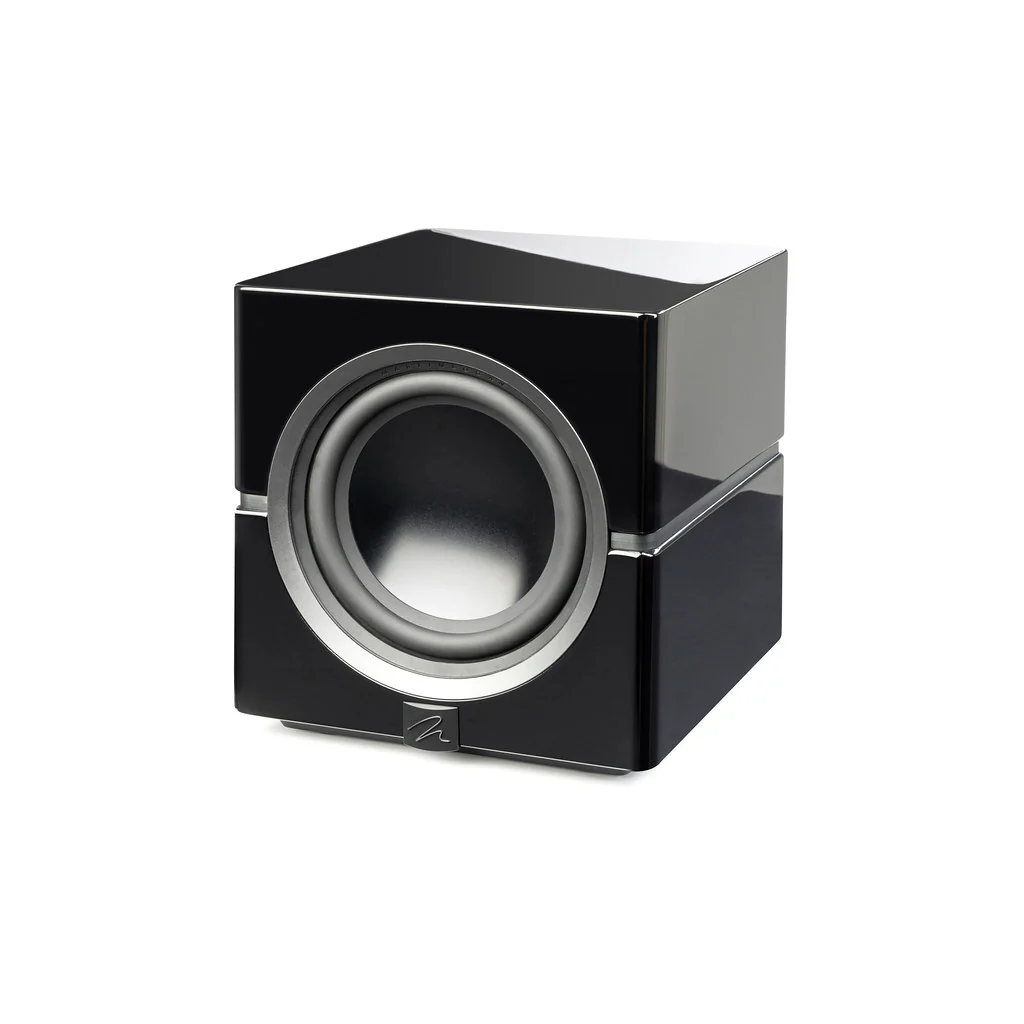 MartinLogan Dynamo 10 Subwoofer