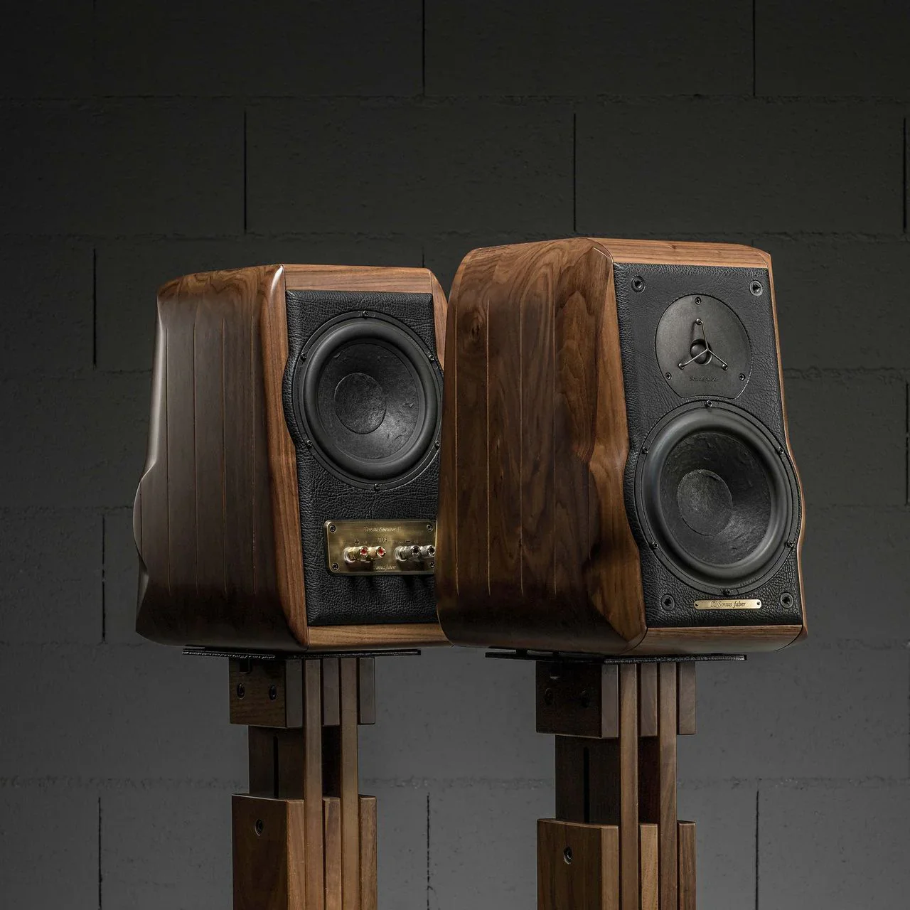 Sonus faber Electa Amator III Bookshelf Speakers - Image 5